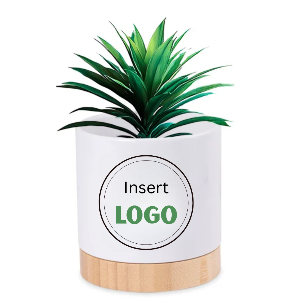 Pot Plant with your logo (10cm by 10cm) Just Fun Gifts