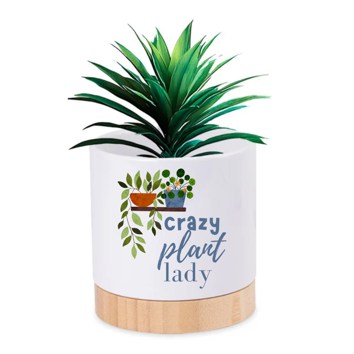 Pot Plant - Crazy Plant Lady Just Fun Gifts