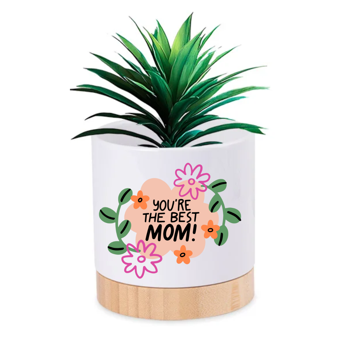 Pot Plant - You're the best mom Just Fun Gifts