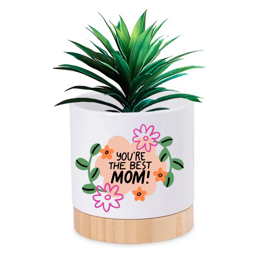 Pot Plant - You're the best mom Just Fun Gifts