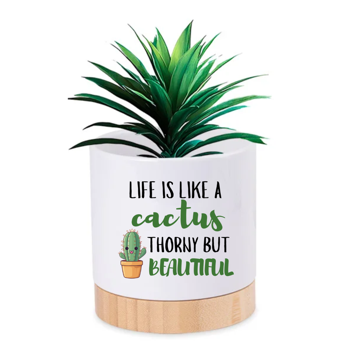 Pot Plant - Life is like a cactus thorny but beautiful Just Fun Gifts