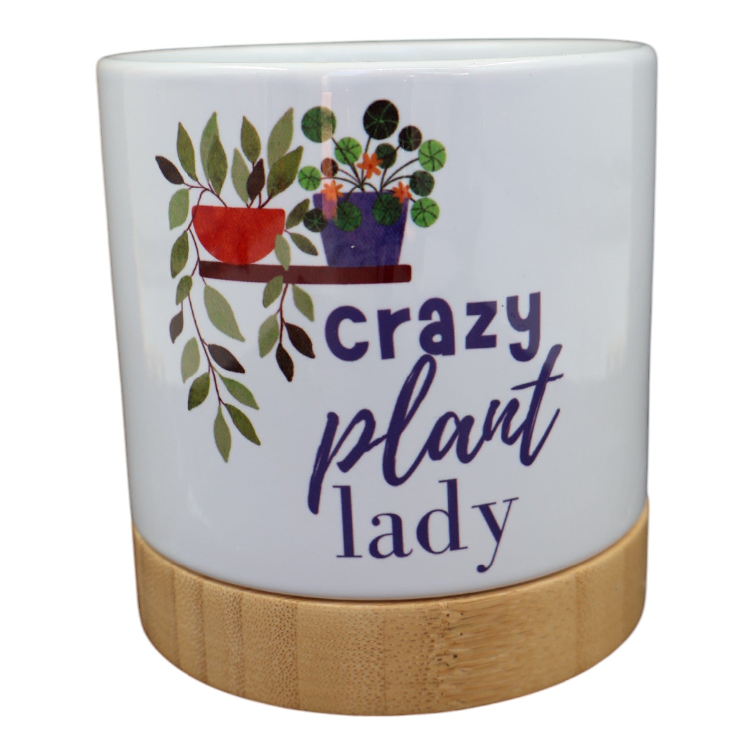 Pot Plant - Crazy Plant Lady Just Fun Gifts