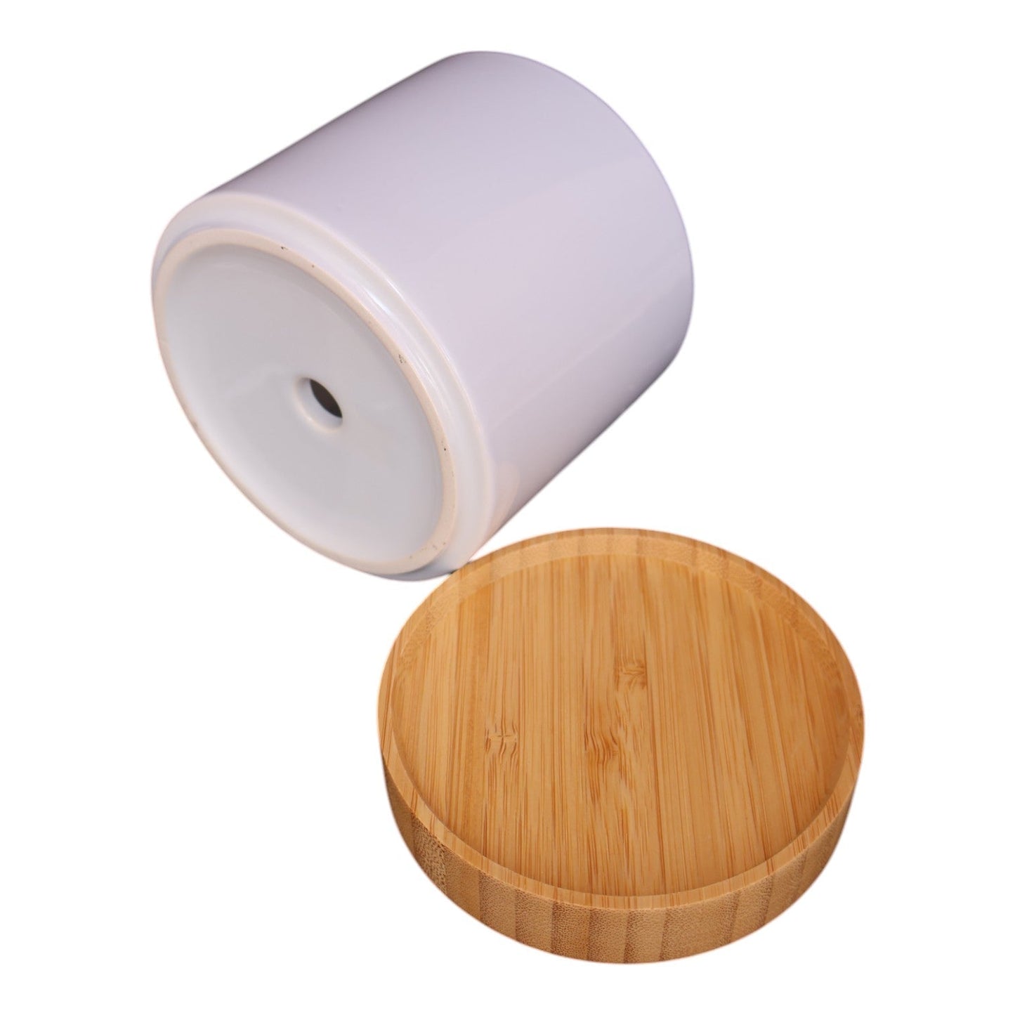 Pot Plant - what the succulent Just Fun Gifts