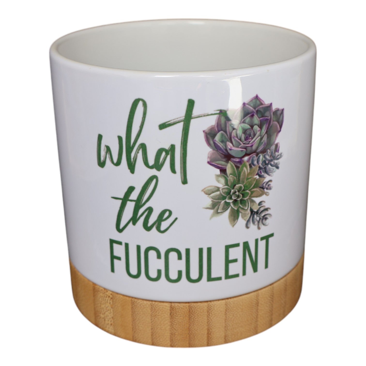 Pot Plant - what the succulent Just Fun Gifts