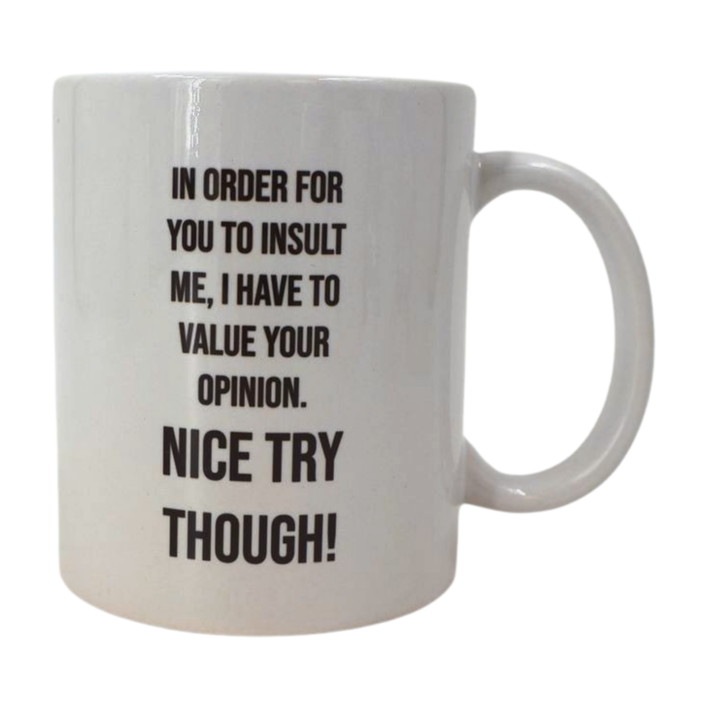 Mug - In order for you to insult me, I have to value your opinion. Nice try though! Mooshimoo
