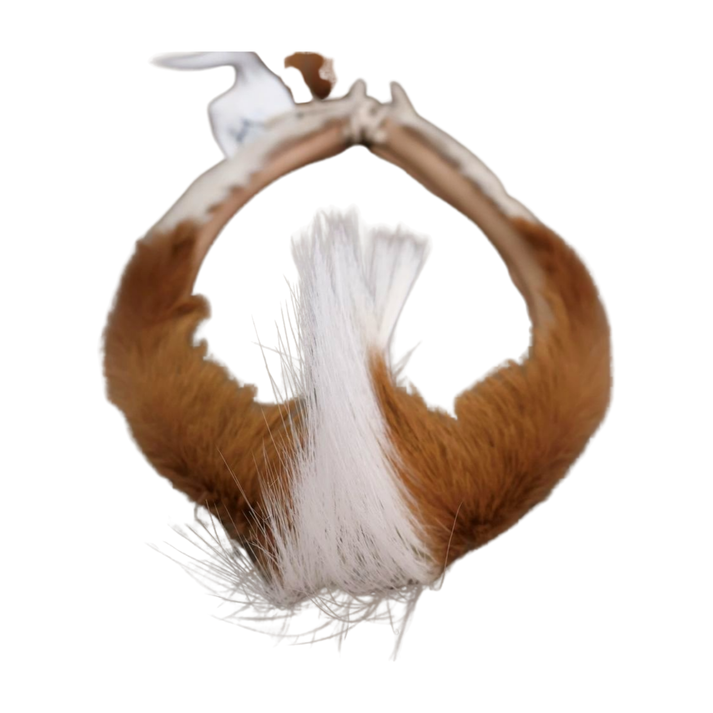 Zulu Mans Head Band Adams Beaded Collection