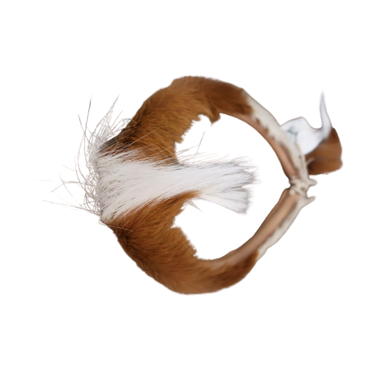 Zulu Mans Head Band Adams Beaded Collection