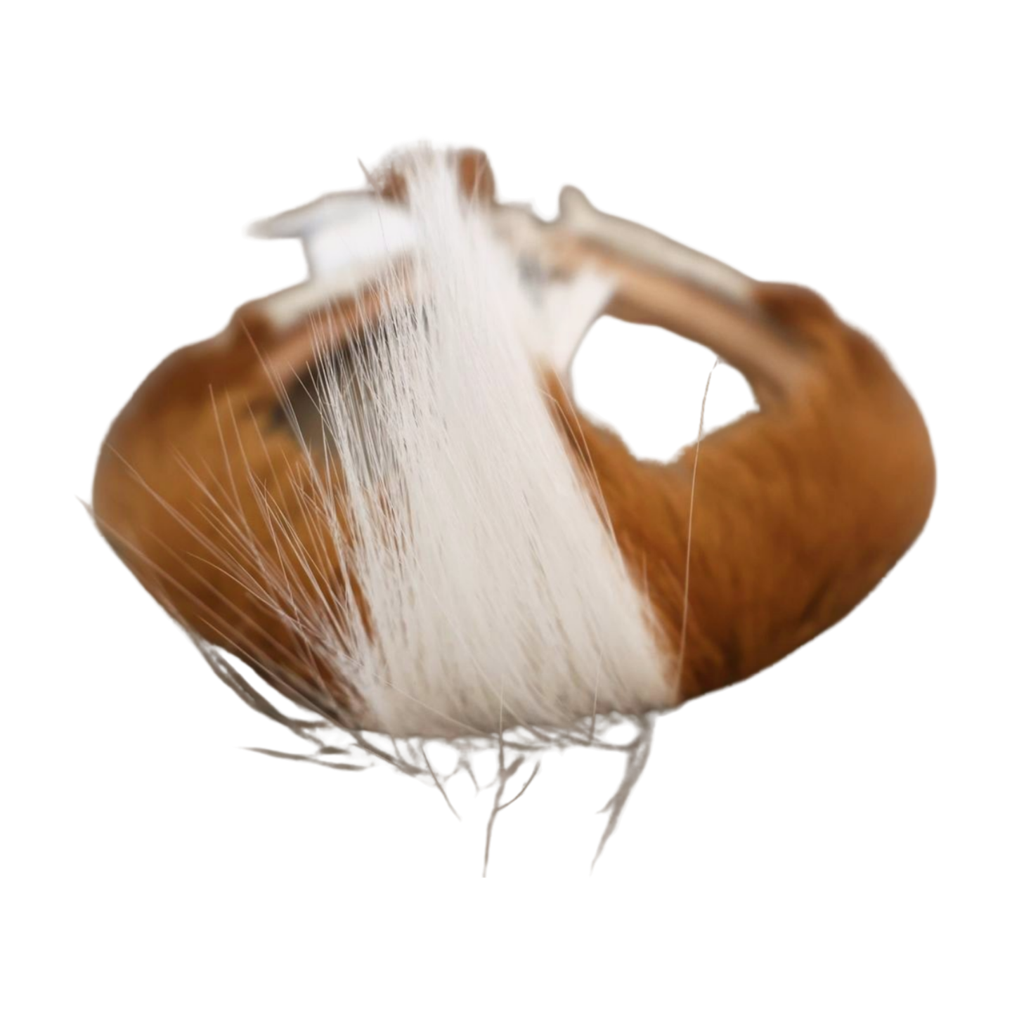 Zulu Mans Head Band Adams Beaded Collection