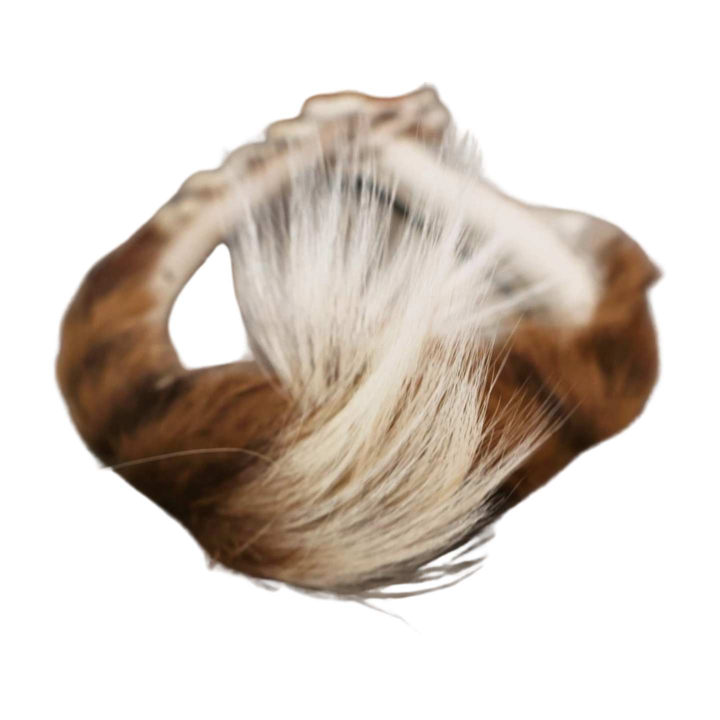 Zulu Mans Head Gear (no tail) Adams Beaded Collection