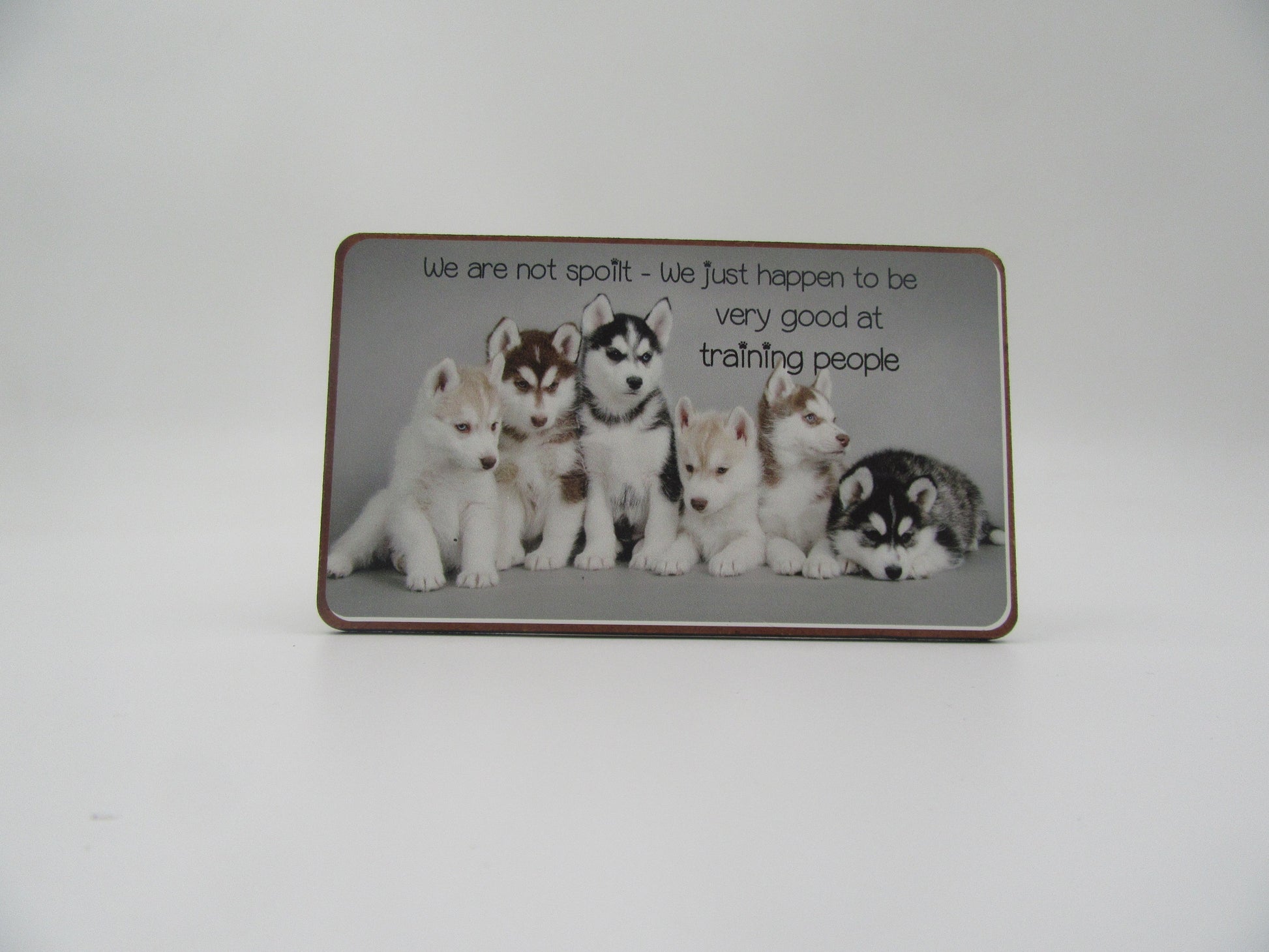 Magnet - We are not spoilt – We just happen to be very good at training people Mooshimoo