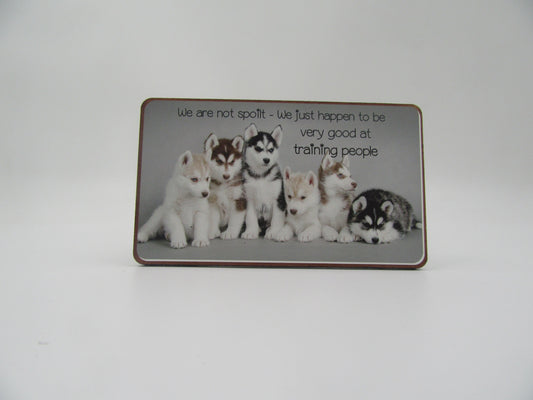 Magnet - We are not spoilt – We just happen to be very good at training people Mooshimoo