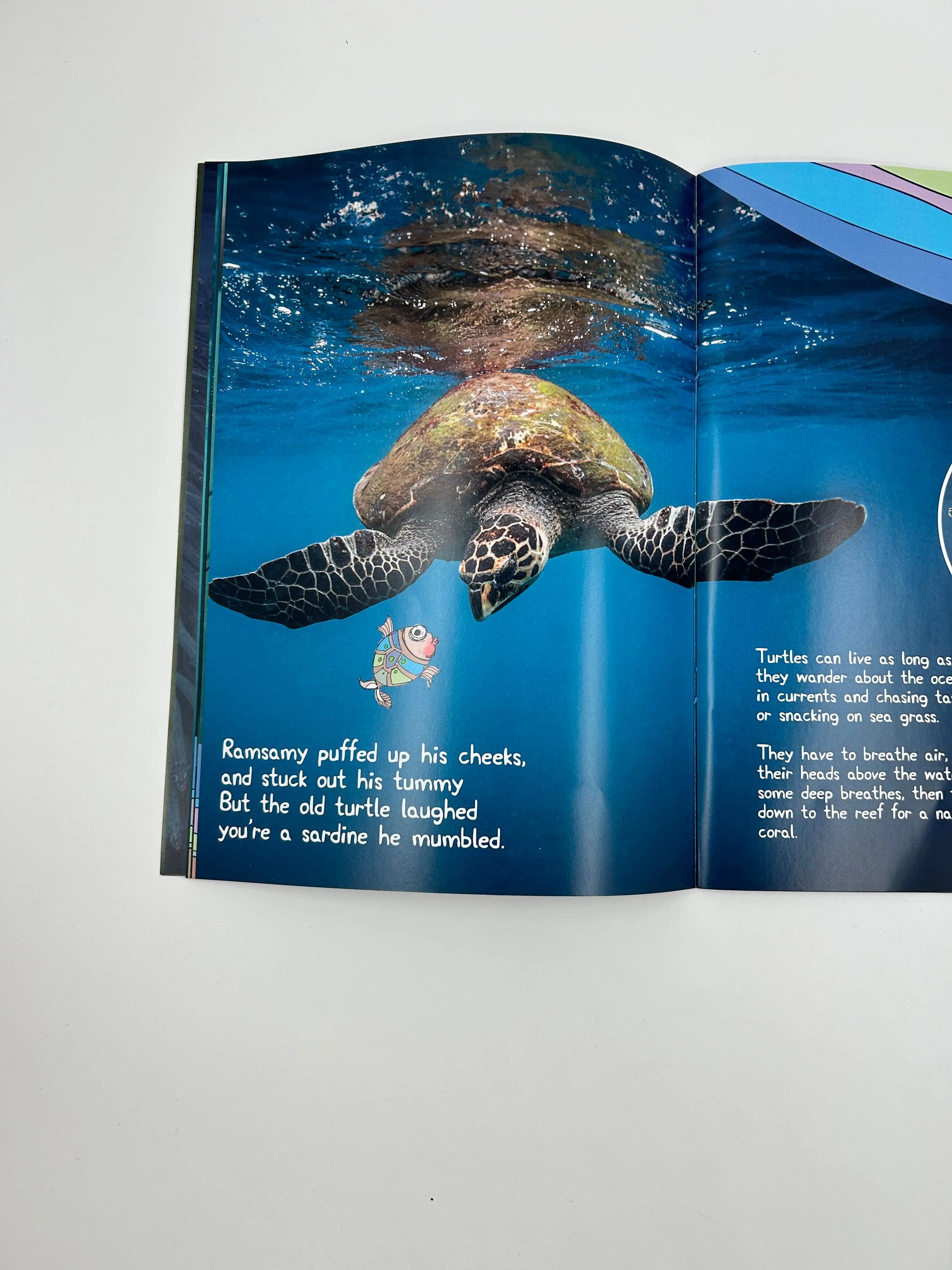 The Extraordinary Adventures of Ramsamy the Sardine – by Linda Ness Linda Ness