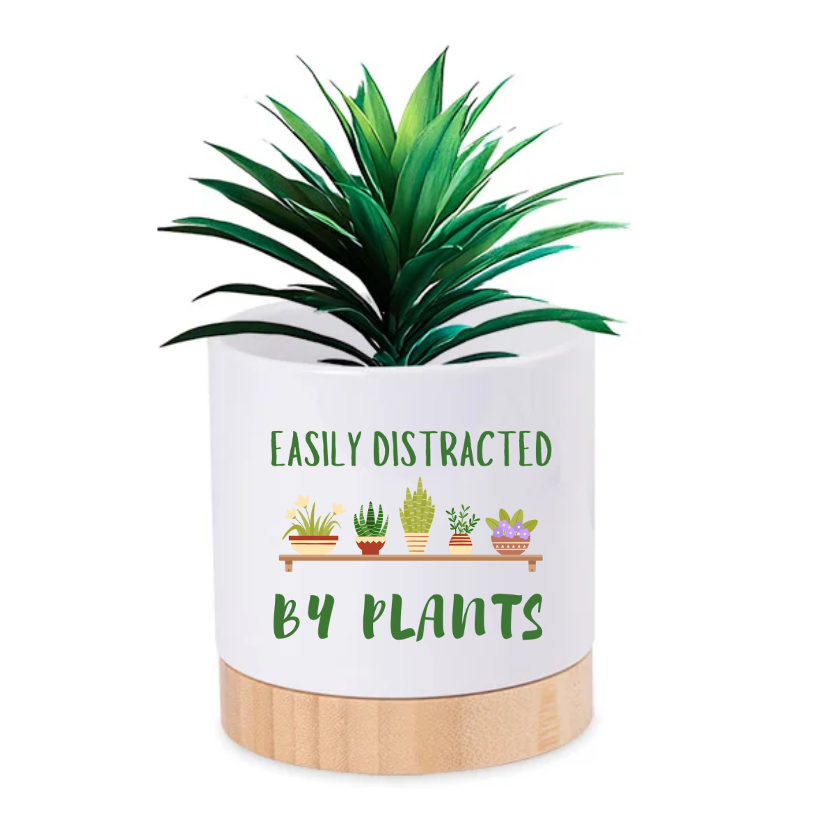 Pot Plant - Easily Distracted By Plants