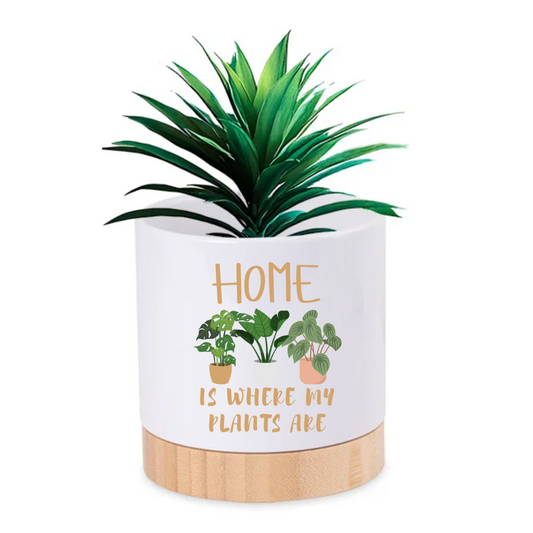 Pot Plant - Home is where my plants are