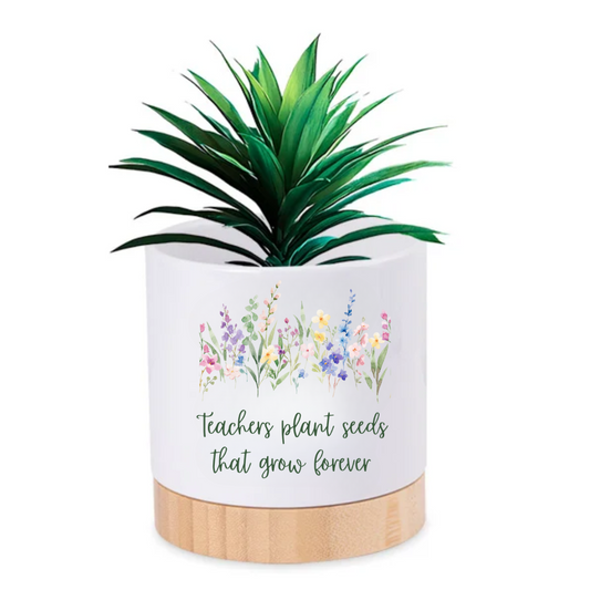 Pot Plant - Teachers plant seeds that grow forever