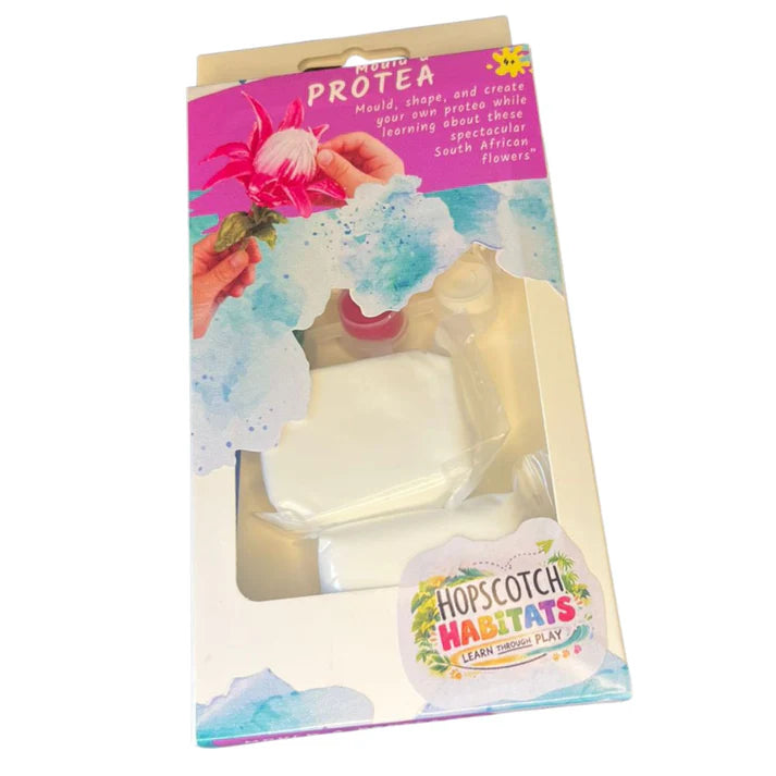 Hopscotch Crafts - Mould a Protea Hopscotch Crafts