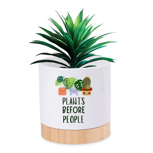 Pot Plant - Plants Before People