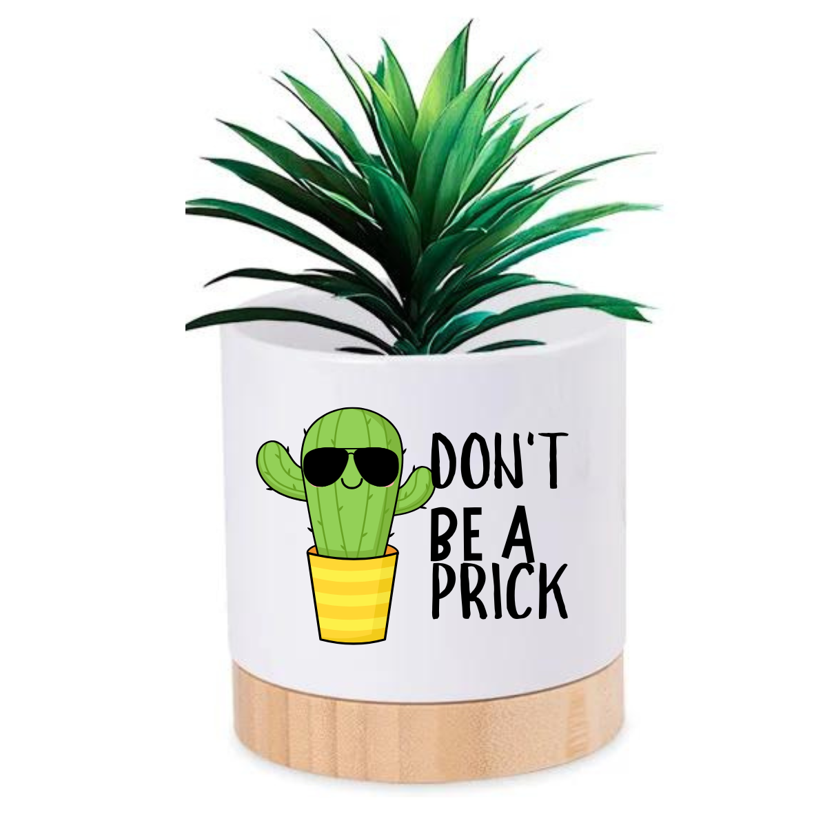 Pot Plant - Don't Be a Prick Just Fun Gifts