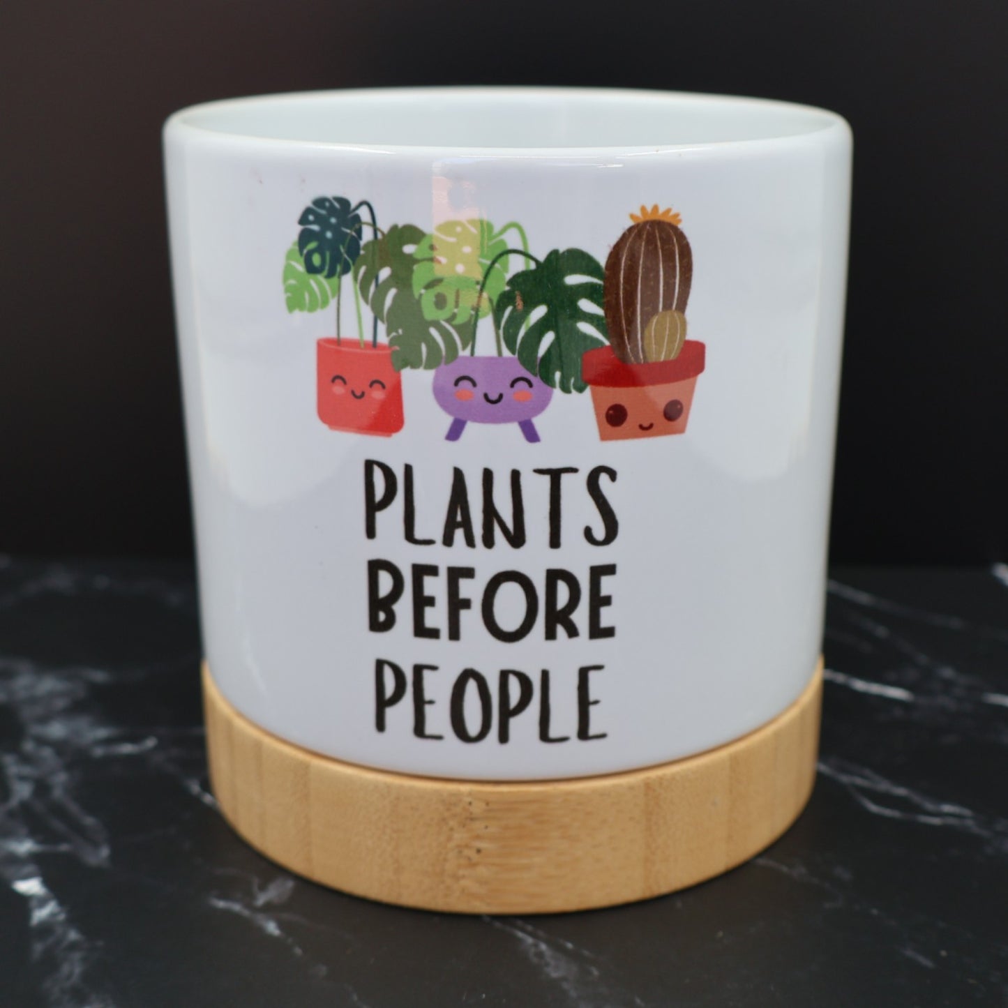 Pot Plant - Plants Before People