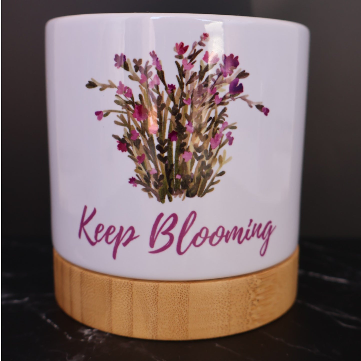 Pot Plant - Keep Blooming