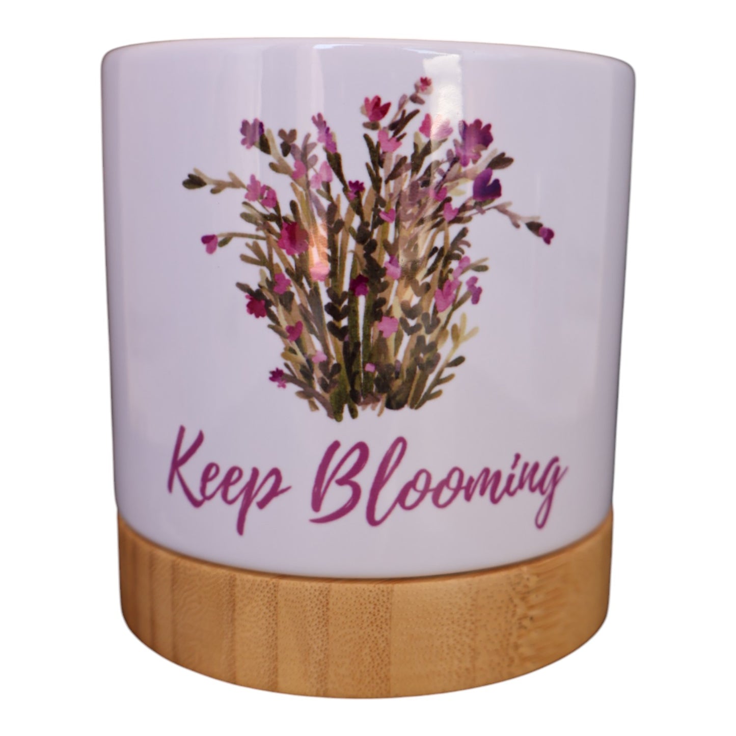 Pot Plant - Keep Blooming