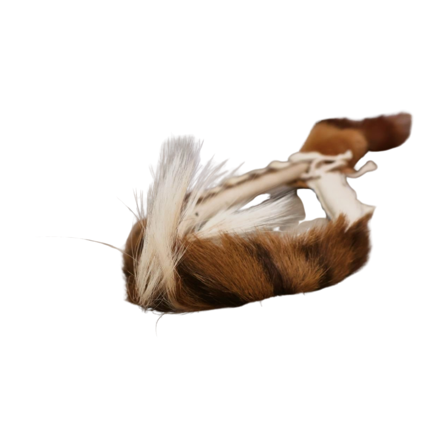 Zulu Mans Head Band Adams Beaded Collection