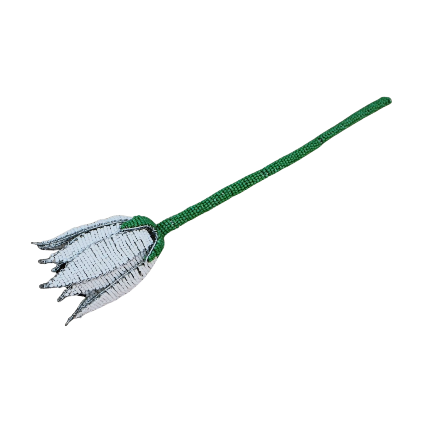 Beaded Proteas Adams Beaded Collection