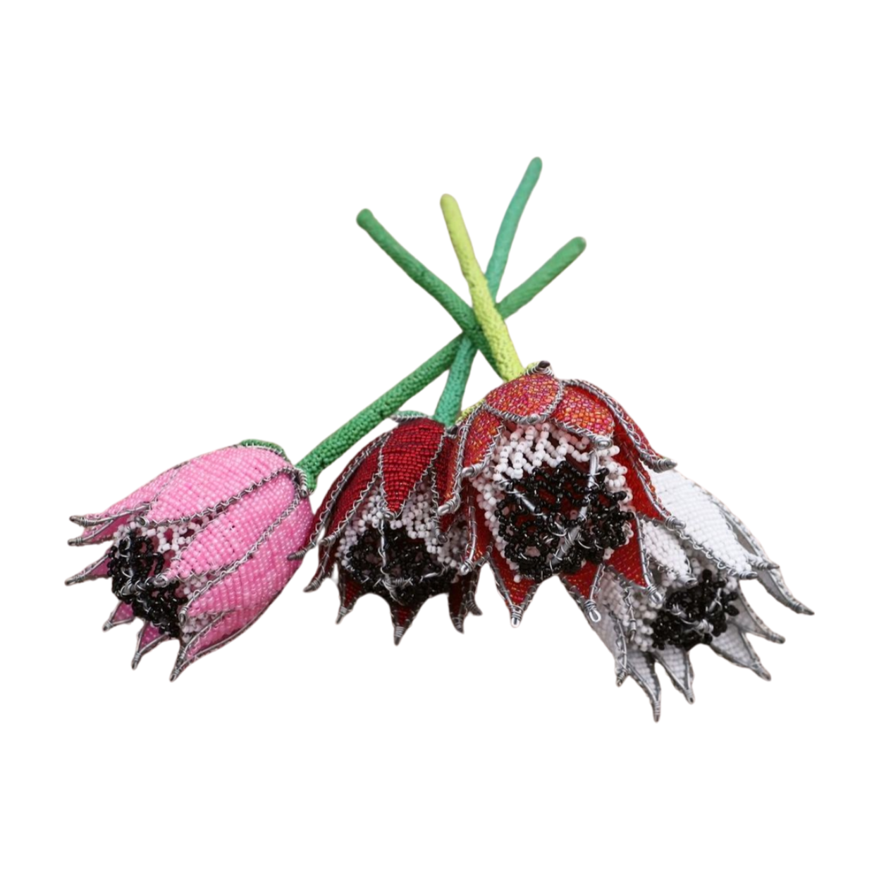 Beaded Proteas Adams Beaded Collection