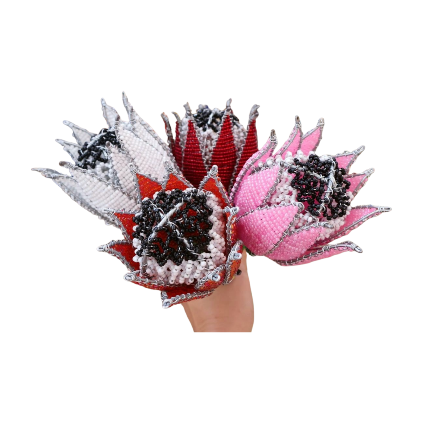 Beaded Proteas Adams Beaded Collection