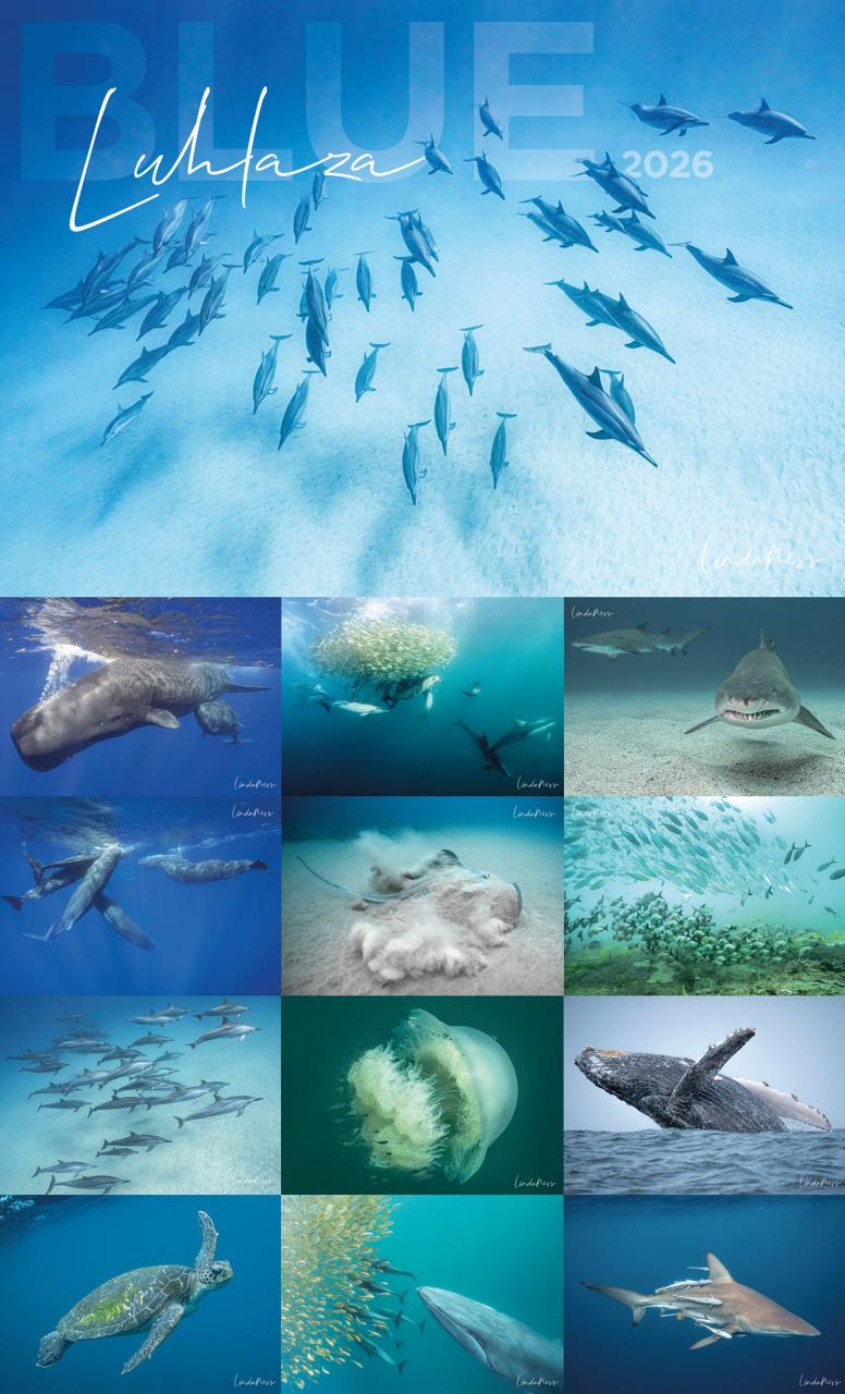 Calendar Ocean 2026 by Linda Ness Photography Linda Ness