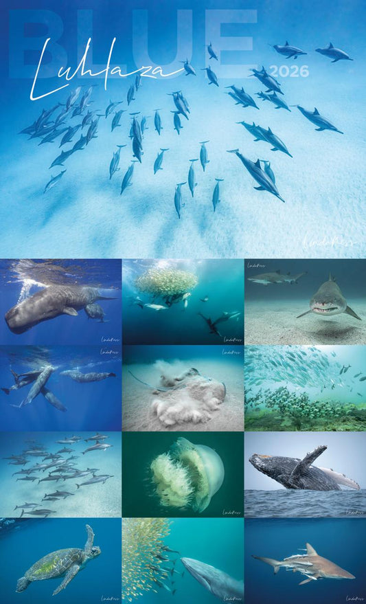Calendar Ocean 2026 by Linda Ness Photography Linda Ness