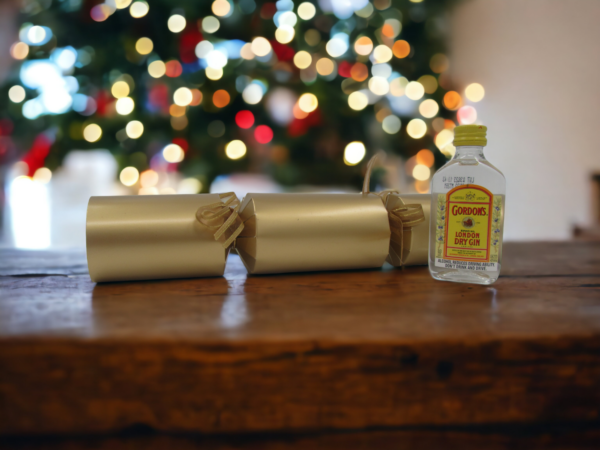 Christmas cracker with mini gordons gin